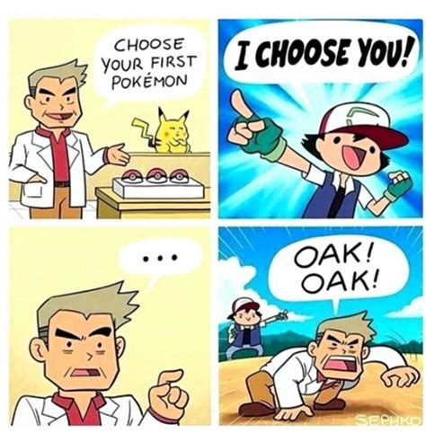 Voting Rules. . R pokemon memes